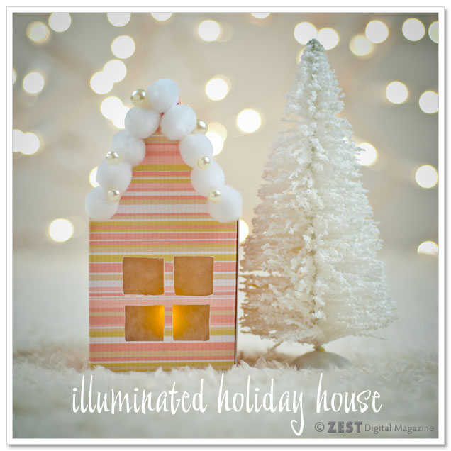 DIY Illuminated Holiday House