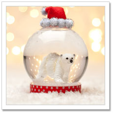 DIY Snow Globe